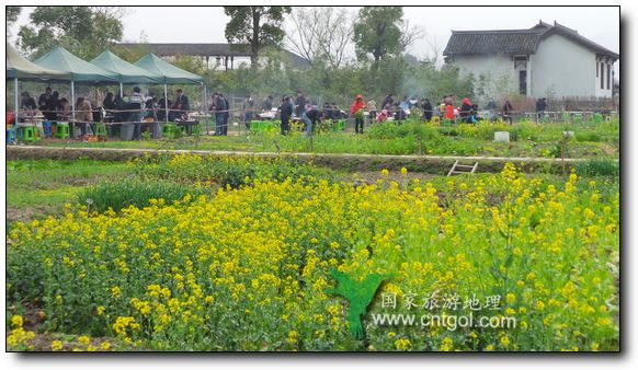 杭州西溪濕地春日雙休日燒烤人扎堆（圖）